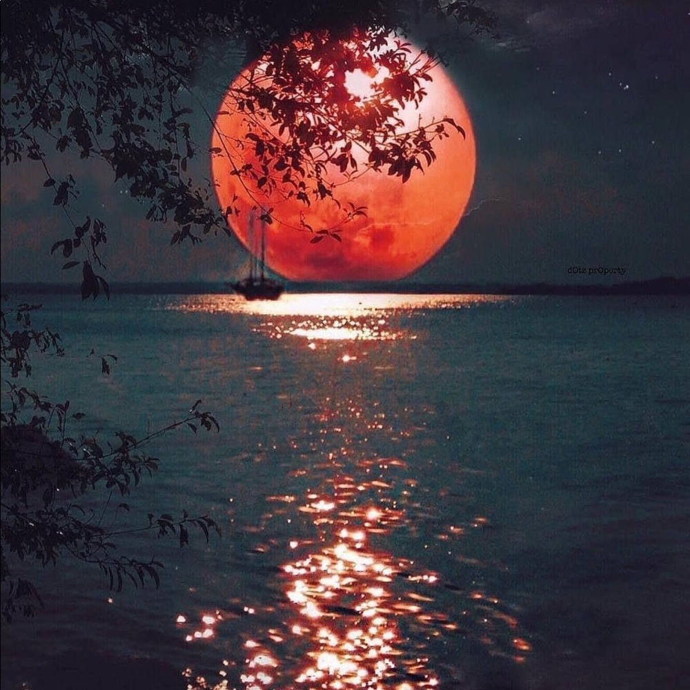 ✨Moon Ray Water✨ - Picture 1 of 4